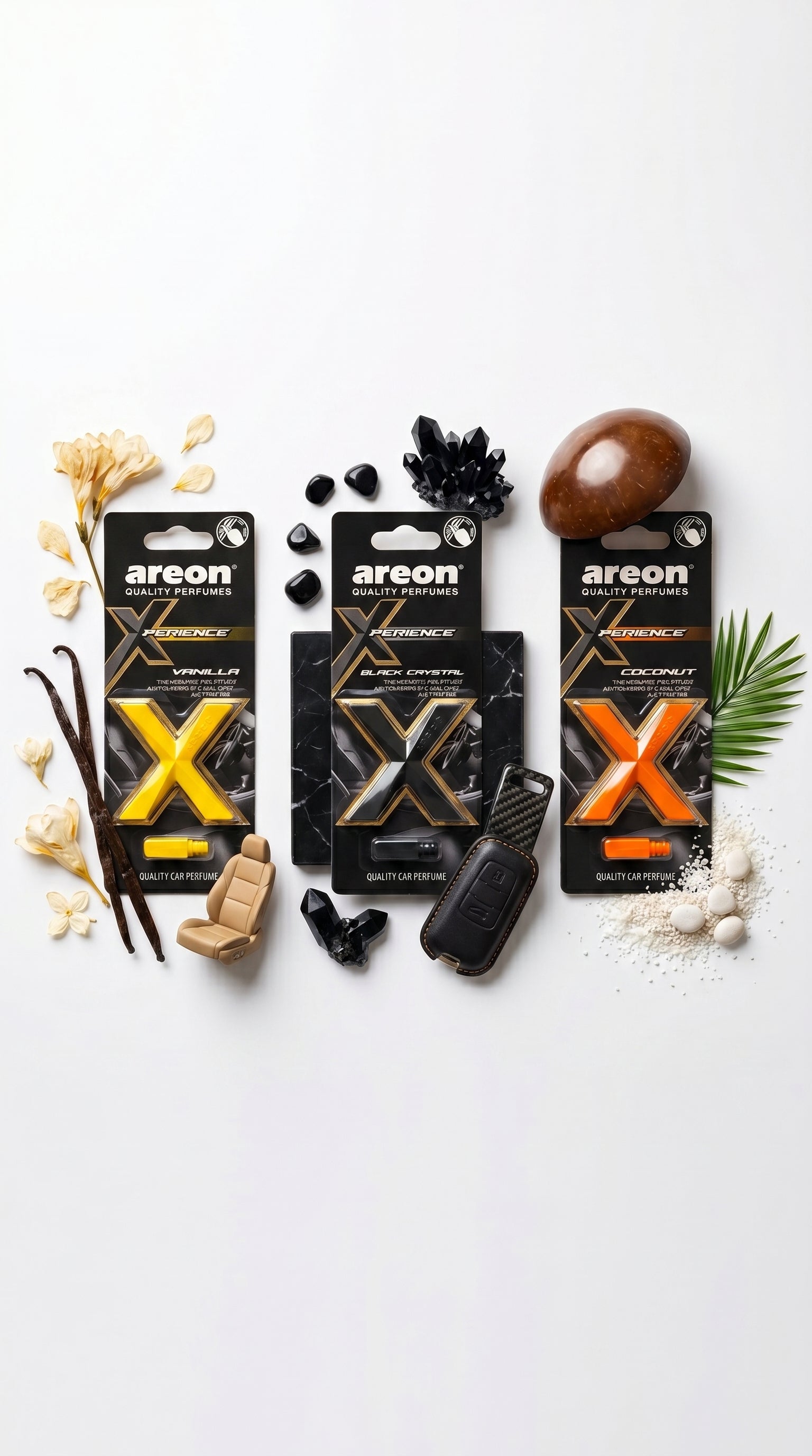 XxX Areon
